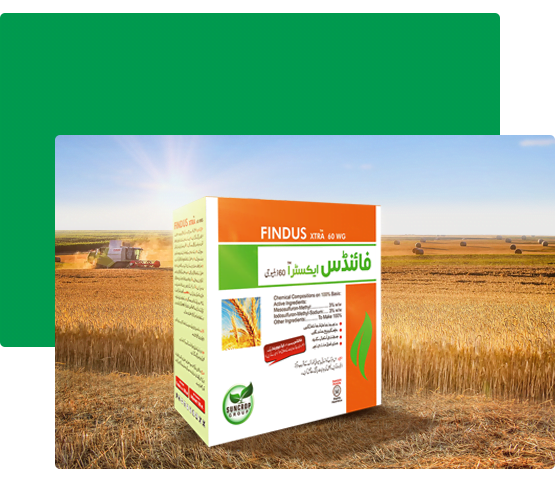 findus xtra high yield brands