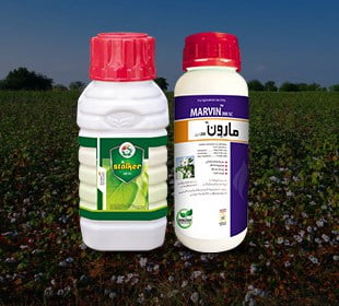 Insecticides