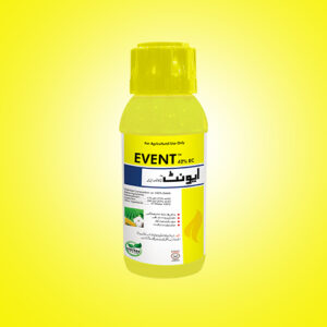 Event