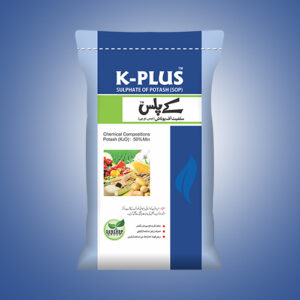 K-Plus