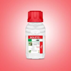 Boleto
