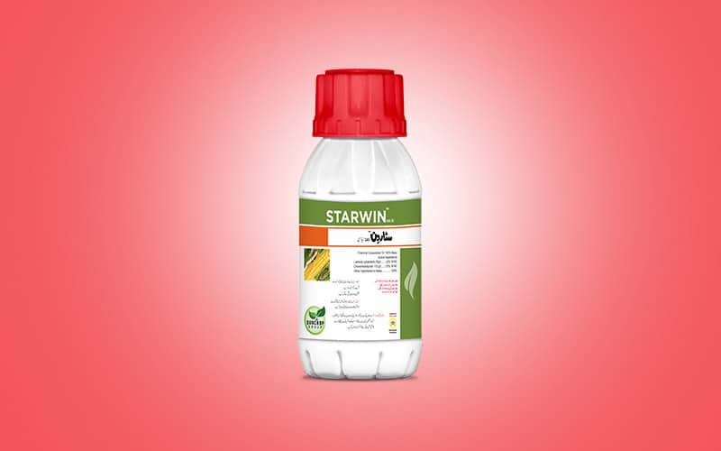 Starwin
