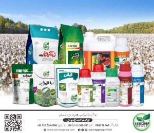 Pesticides For Whiteflies and Melay Bugs