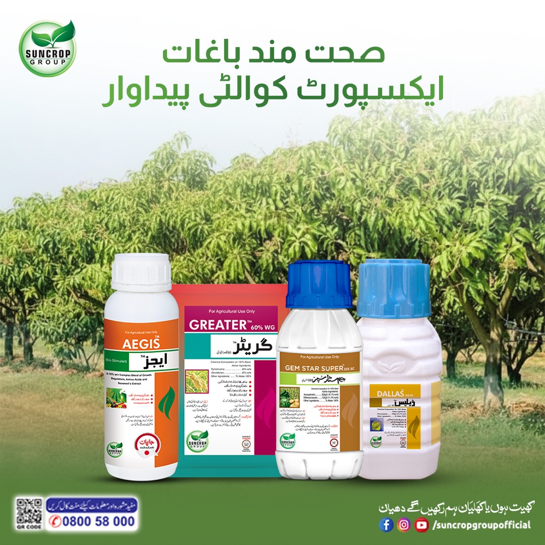 Pesticide for Mango Plant